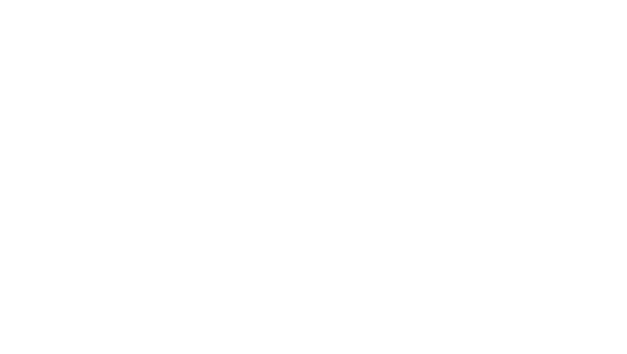 National Astronomical Observatory of Japan Logo